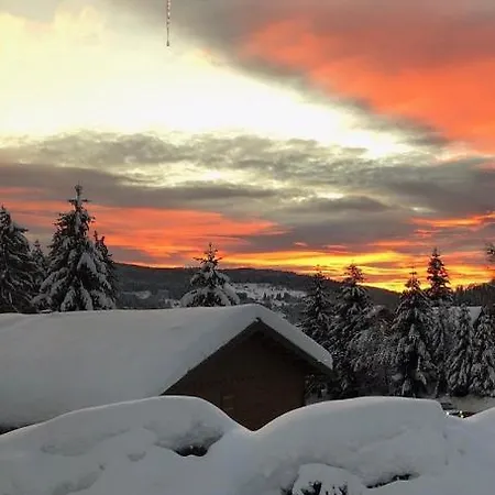 Gite De Montagne 