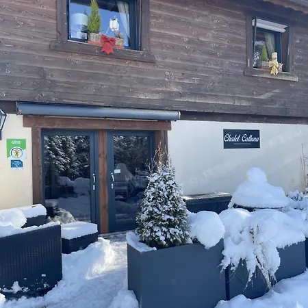 Gite De Montagne 